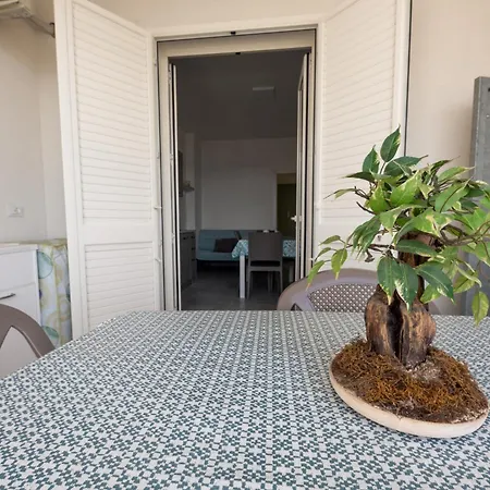 Centonze * 산포카